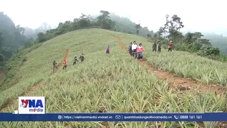 Bộ đội biên phòng giúp dân phát triển kinh tế - xã hội vùng biên