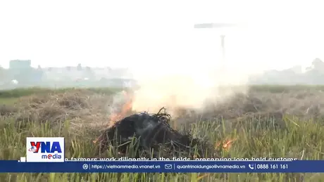 Tổng kết dự án đốt rơm rạ, ô nhiễm không khí tại Việt Nam