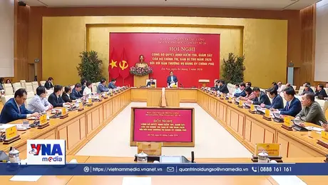 Bộ Chính trị, Ban Bí thư giám sát Đảng ủy Chính phủ