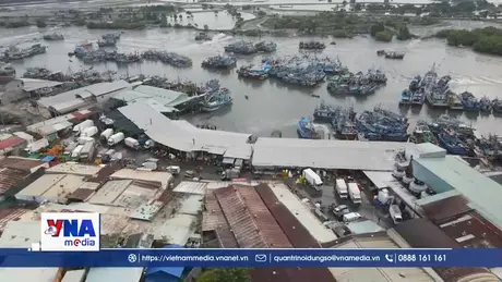 TP.HCM tăng cường kiểm tra công tác chống khai thác IUU
