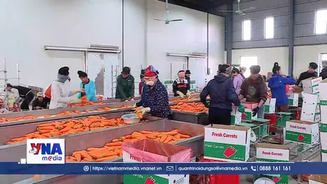 Thị trường nhiều khu vực ngày càng chuộng rau quả Việt Nam