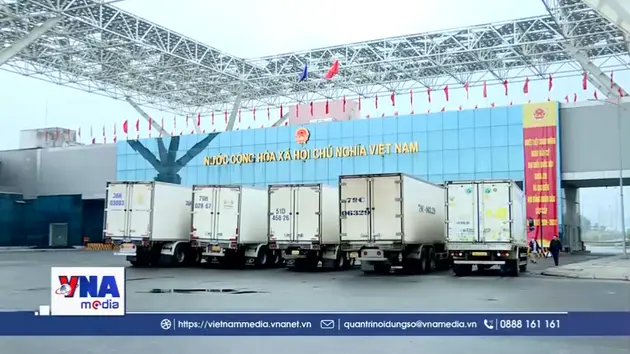 Sôi động ngày đầu thí điểm thông quan hàng hóa xuyên cuối tuần tại Móng cái