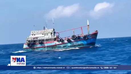 Cà Mau: Bắt giữ tàu cá vận chuyển trái phép khoảng hơn 50.000 lít dầu Diesel