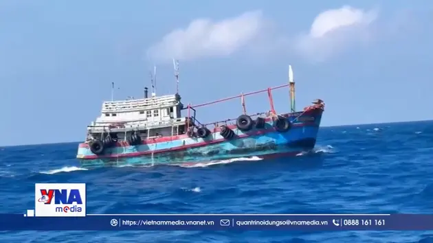 Cà Mau: Bắt giữ tàu cá vận chuyển trái phép khoảng hơn 50.000 lít dầu Diesel