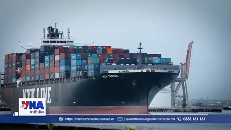 Các công ty Nhật Bản cân nhắc tăng phí bảo hiểm vận tải hàng hóa