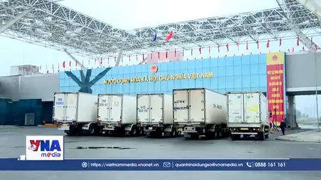 Sôi động ngày đầu thí điểm thông quan hàng hóa xuyên cuối tuần tại Móng cái