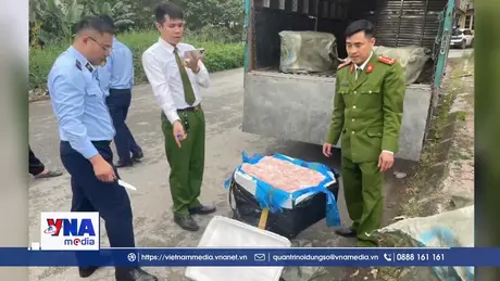 Thu giữ 600 kg nầm lợn đông lạnh không rõ nguồn gốc