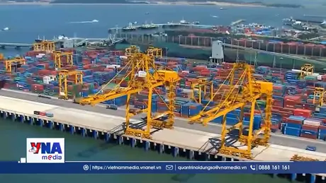 Doanh nghiệp xuất khẩu Hàn Quốc lao đao do gián đoạn chuỗi cung ứng