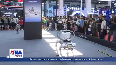 Hợp tác AI giữa Quảng Tây và Việt Nam đạt được nhiều kết quả nổi bật