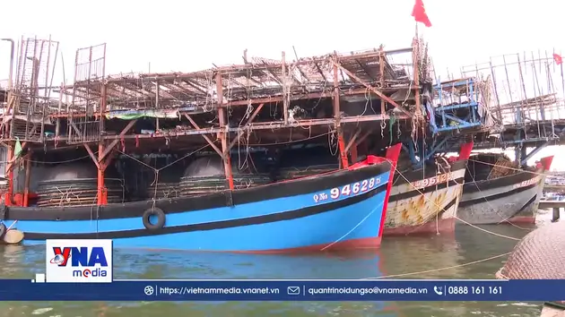 Đà Nẵng: Ngư dân gặp khó vì giá dầu tăng cao