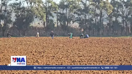 Algeria dẫn đầu châu Phi về mức độ bền vững của hệ thống lương thực