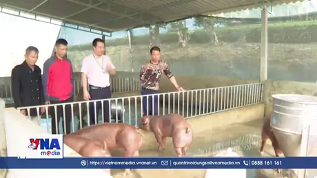 Vốn chính sách - Đòn bẩy tạo sinh kế bền vững