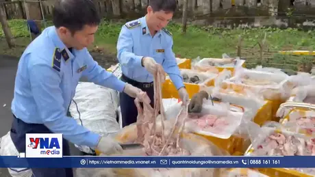 Phát hiện hơn 2,6 tấn nội tạng động vật không rõ nguồn gốc
