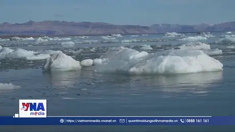 Băng biển Bắc Cực chạm ngưỡng thấp nhất trong 40 năm