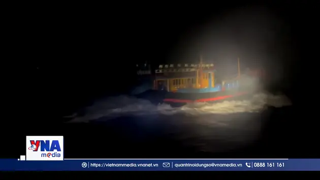 Đà Nẵng: Tổ bảo vệ chủ quyền an ninh trên biển quyết tâm gỡ bỏ thẻ vàng IUU