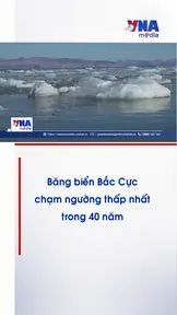 Băng biển Bắc Cực chạm ngưỡng thấp nhất trong 40 năm