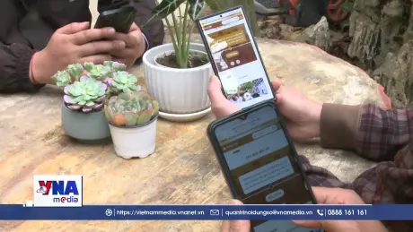 Nghệ An đưa thông tin bầu cử đến gần cử tri bằng chuyển đổi số