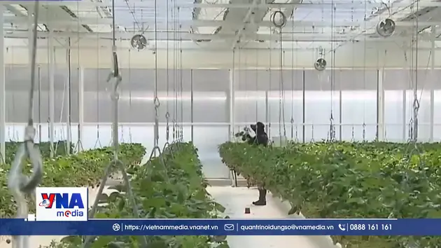 Tiêu điểm quốc tế: Nông nghiệp Hàn Quốc bị ảnh hưởng do giá dầu tăng vọt