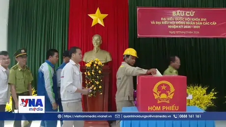 Rộn ràng không khí bầu cử sớm tại cụm đảo Hòn Khoai