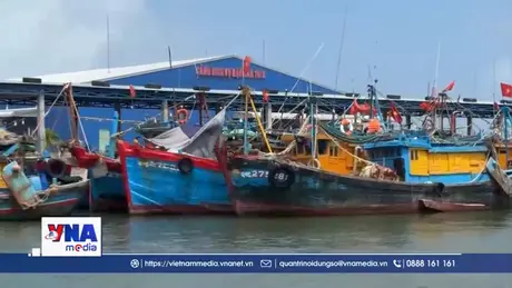 Quảng Ngãi: Ngư dân gác việc khơi xa, hướng về lá phiếu
