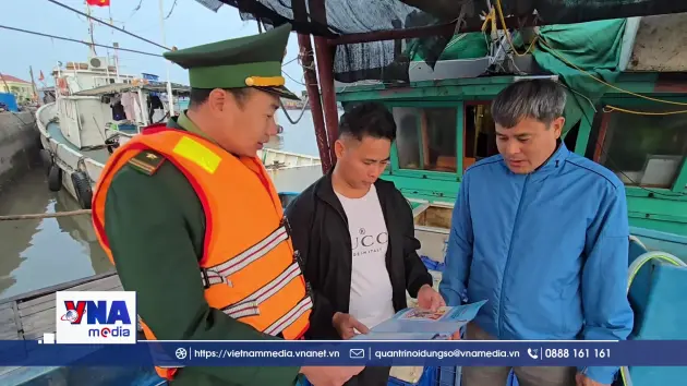 Ngư dân Hải Phòng háo hức chờ ngày bầu cử