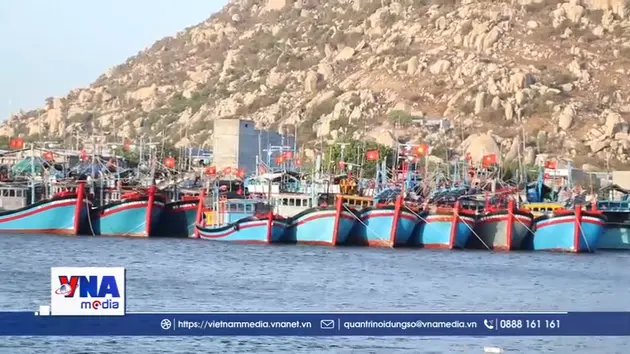 Khánh Hòa quyết tâm gỡ thẻ vàng IUU