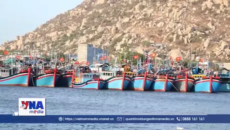 Khánh Hòa quyết tâm gỡ thẻ vàng IUU