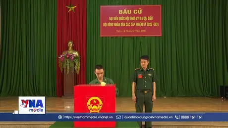 Lâm Đồng hoàn thành bỏ phiếu tại 5 điểm bầu cử sớm