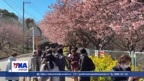 Thúc đẩy du lịch từ những mùa hoa