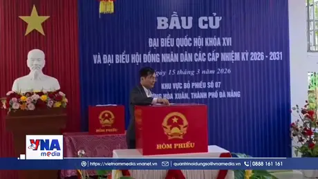 Đà Nẵng: Hơn 90% cử tri đã đi bỏ phiếu trong buổi sáng