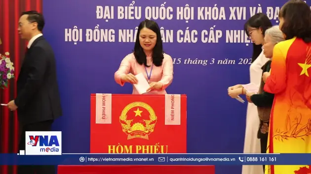 Cử tri Hải Phòng đặt niềm tin tuyệt đối vào lá phiếu