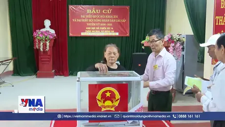 Gác việc đồng áng, nhà nông nô nức đi bỏ phiếu sớm