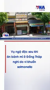 Vụ ngộ độc sau khi ăn bánh mì ở Đồng Tháp nghi do vi khuẩn Salmonella