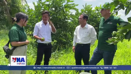 Doanh nghiệp Hà Lan khảo sát vùng nguyên liệu ở Vĩnh Long