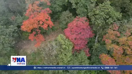 Liên kết phát triển du lịch từ con đường đá cổ Pavie