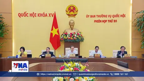 Làm rõ vai “tổng chỉ huy” của đại sứ