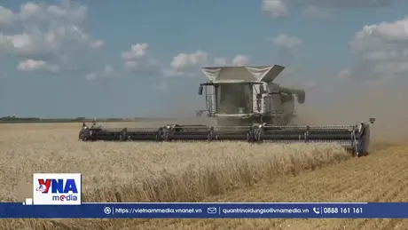 Nông nghiệp thế giới đối diện khủng hoảng do thiếu phân bón