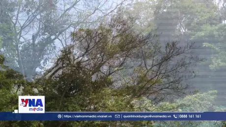 Chủ động phòng cháy rừng cụm đảo Hòn Khoai