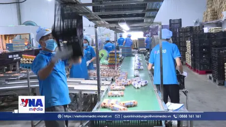 Nghị quyết 57 thúc đẩy hiện đại hóa ngành chăn nuôi