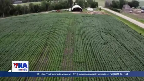 Nông dân Mỹ chịu áp lực giá phân bón do chiến sự