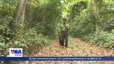 Quản lý, bảo vệ rừng dựa vào cộng đồng