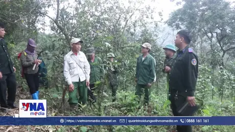Để rừng khu vực ATK Định Hóa trở thành điểm tựa