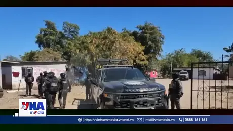 Mexico đẩy mạnh chiến dịch truy quét ma túy