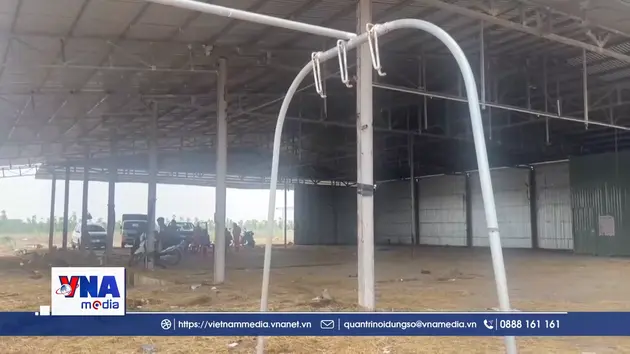 Dùng sào tự chế cắt dây điện, nam thanh niên bị phóng điện tử vong