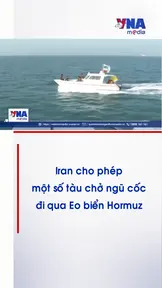 Iran cho phép một số tàu chở ngũ cốc đi qua Eo biển Hormuz