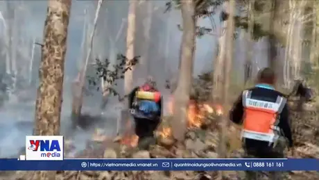 Thái Lan nỗ lực ứng phó cháy rừng dữ dội