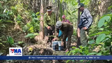 Thả 11 cá thể động vật hoang dã về môi trường tự nhiên