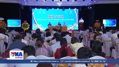 Tạo điều kiện cho thương lái để thúc đẩy xuất khẩu gạo