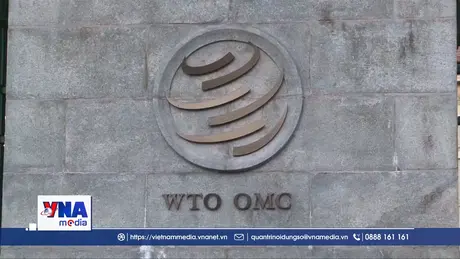 EU kêu gọi cải cách sâu rộng WTO