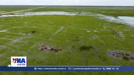 Tìm giải pháp phục hồi hệ sinh thái đất ngập nước bền vững tại ĐBSCL